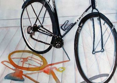 Shirley Hokke, Raleigh Bike